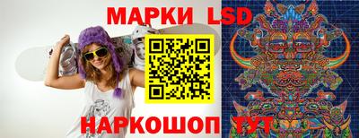 индика Владикавказ
