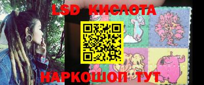 индика Владикавказ