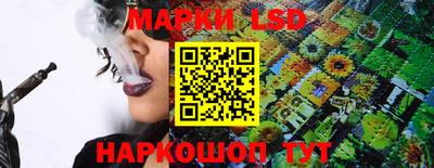 индика Владикавказ