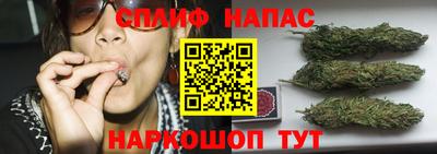 индика Владикавказ