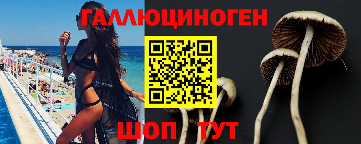 Псилоцибиновые грибы Psilocybe  Псилоцибиновые грибы MAGIC MUSHROOMS  Белая Калитва  Вход с VPN 